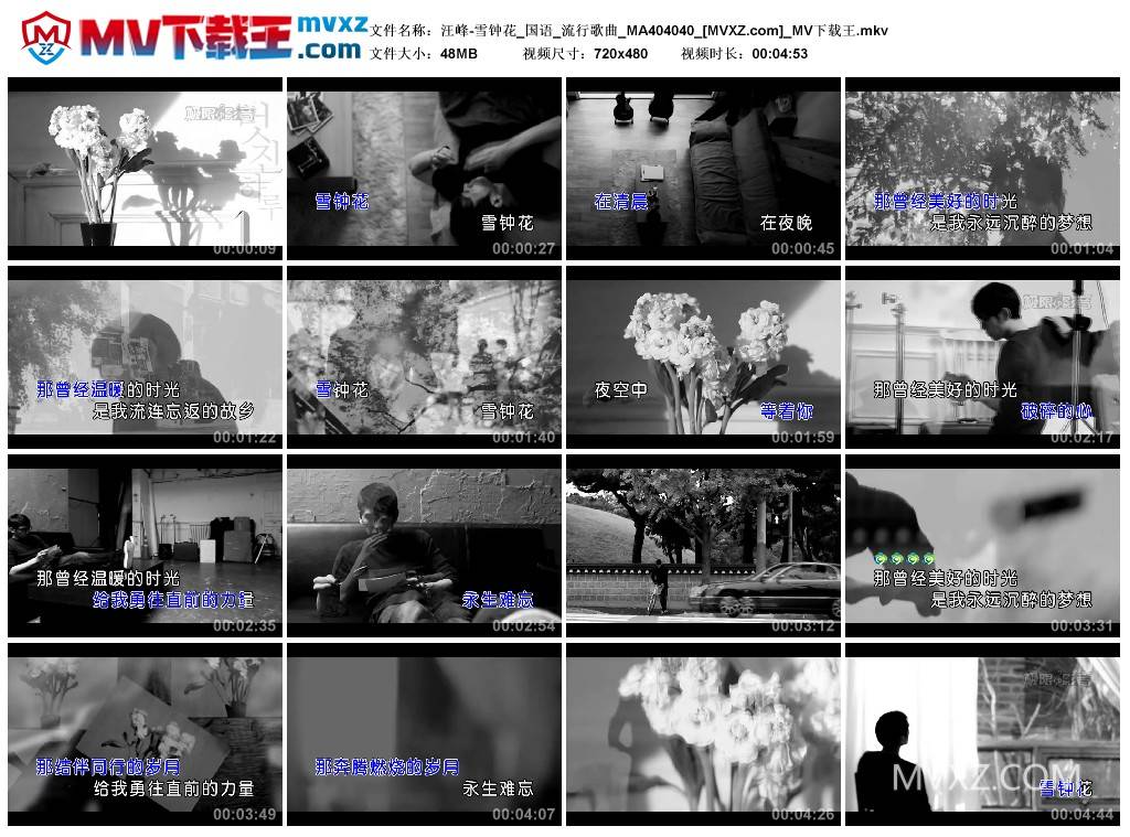 汪峰-雪钟花_国语_流行歌曲_MA404040